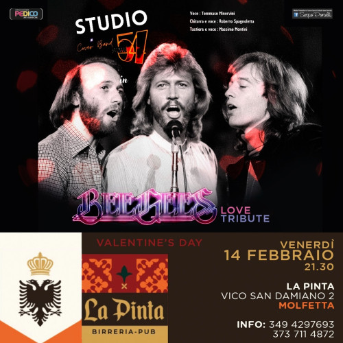 Bee Gees love tribute a Molfetta