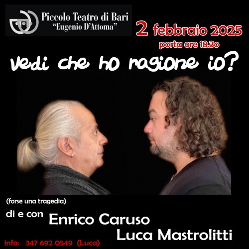 VEDI CHE HO RAGIONE IO? di e con Enrico Caruso e Luca Mastrolitti