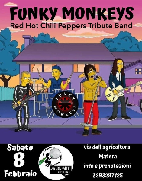 Funky Monkeys - Red Hot Chili Peppers Tribute Band