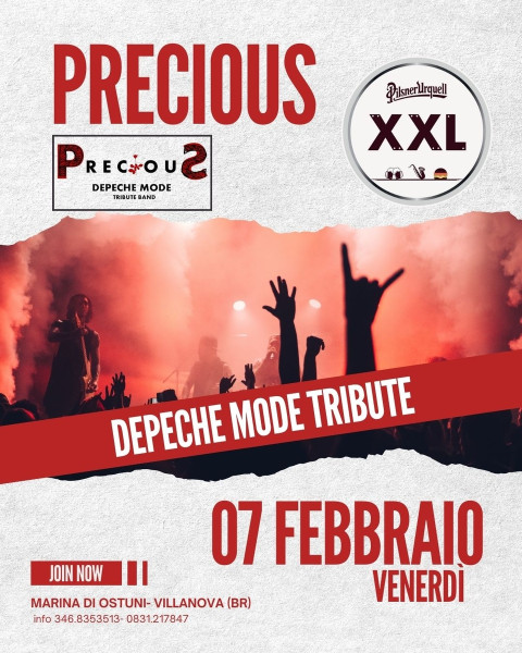 Precius the depeche mode tribute