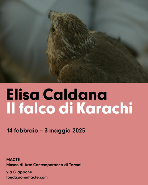 Elisa Caldana. Il falco di Karachi