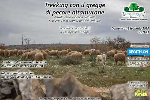 Trekking con il gregge di pecore altamurane