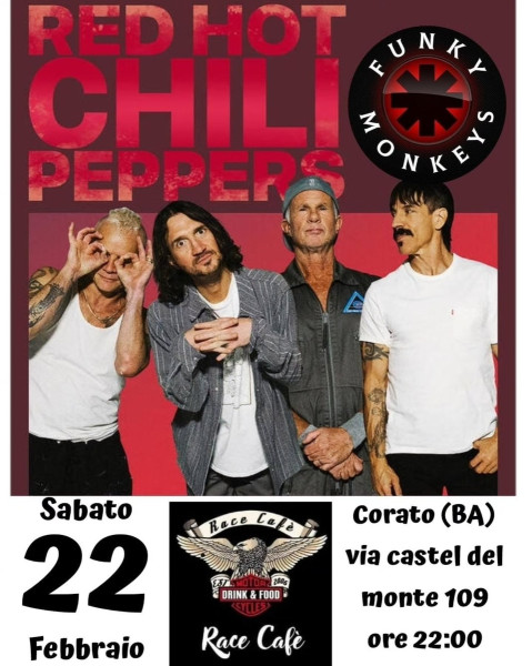 Funky Monkeys - Red Hot Chili Peppers Tribute Band