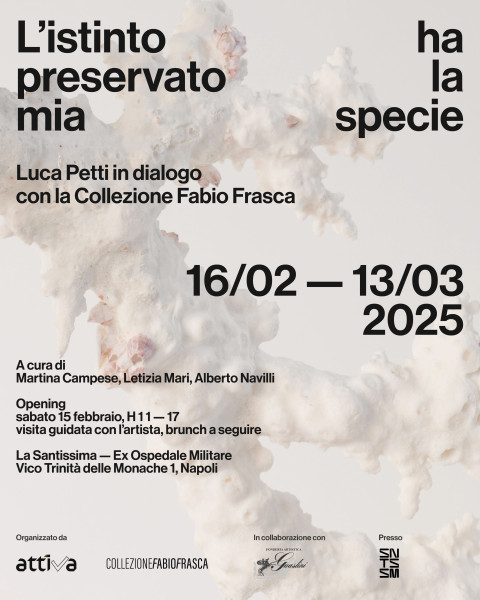 L’istinto ha preservato la mia specie. Luca Petti in dialogo con la Collezione Fabio Frasca