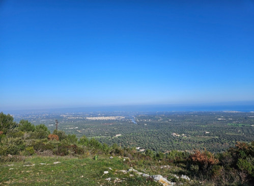 Camminata in natura con calice di vino