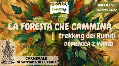 LA FORESTA CHE CAMMINA trekking dei Rumiti