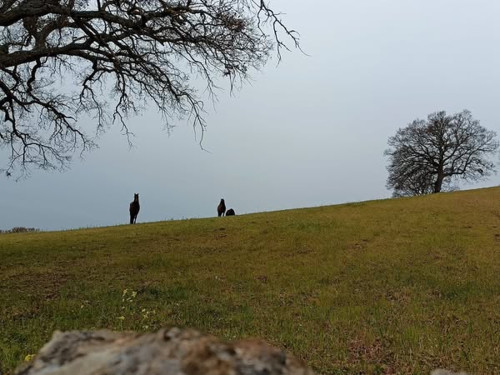 Il trekking di Santa Lucia ai monti