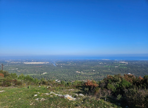 Passeggiata in natura