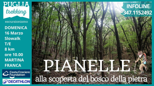 PIANELLE Alla scoperta del bosco di pietra