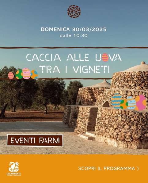 Caccia alle uova tra i vigneti