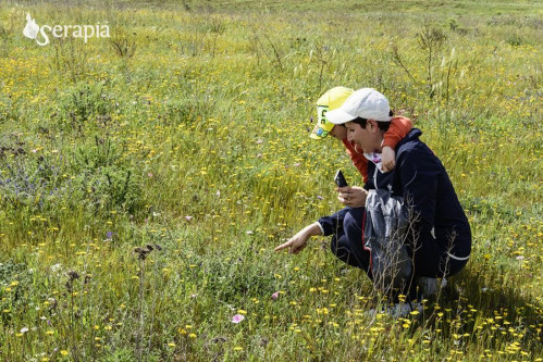 Le orchidee del Parco Regionale delle Dune Costiere