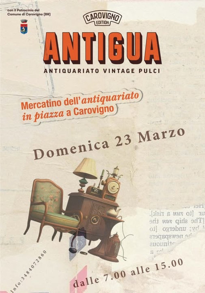 ANTIGUA Mercatino dell'antiquariato, del vintage e delle pulci...