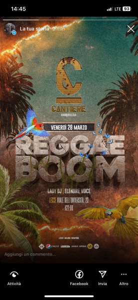 Reggae Boom