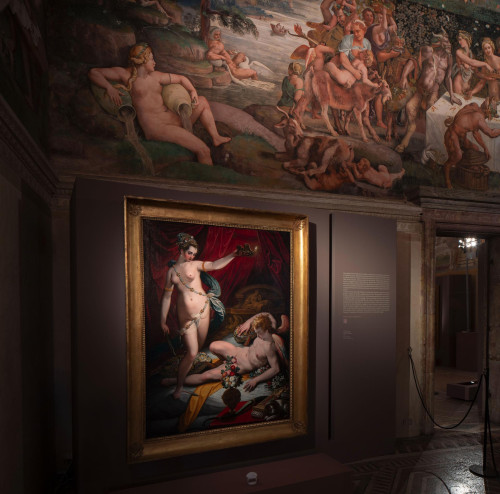 Dal caos al cosmo. Metamorfosi a Palazzo Te