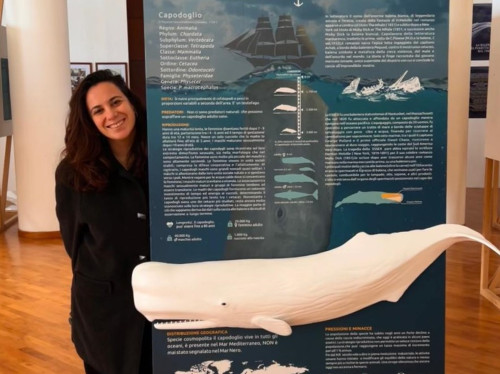 Maggio dei libri con Serapia: un pomeriggio con Moby Dick