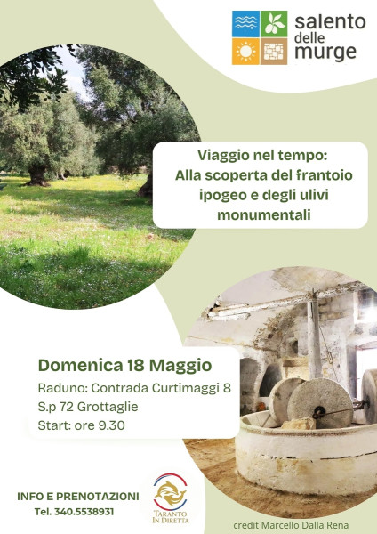 Viaggio nel tempo: Alla scoperta del Frantoio ipogeo e degli Ulivi monumentali
