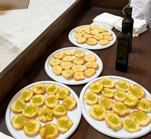 Visita e Degustazione al Frantoio Rosso Ipogeo