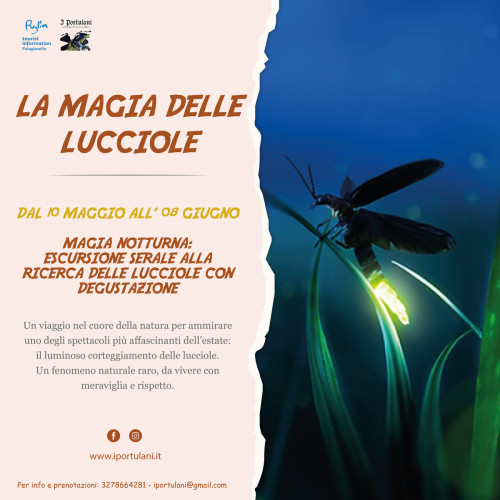 La magia delle lucciole