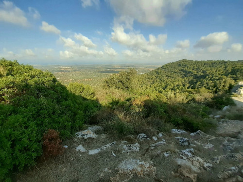 Passeggiata sostenibile