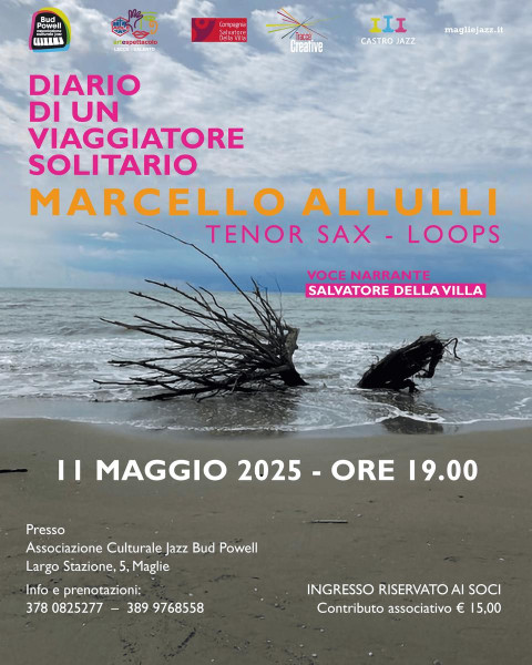 Diario di un viaggiatore solitario