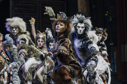 CATS il Musical