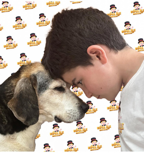 Al Centro Talenti Village il "Pet Camper Tour"