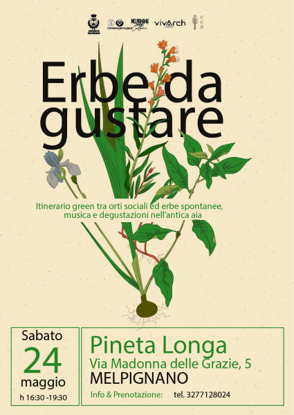 Erbe da gustare