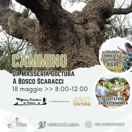 Cammino tra storia, biodiversità e comunità