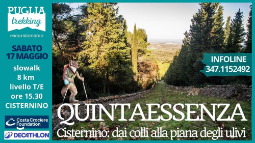 QUINTESSENZA Cisternino, dai colli alla piana degli ulivi