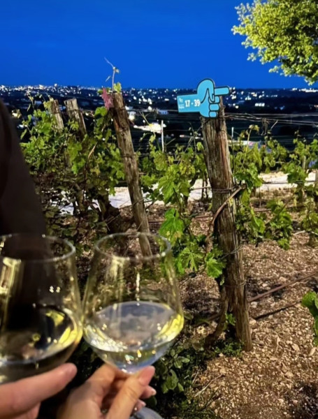 In vino veritas...parole sobrie.