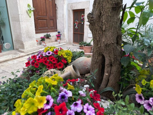 La mia strada in fiore. Passeggiata ufficiale il 23 maggio