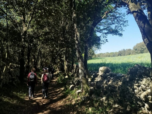 Escursione del 2 giugno al Bosco delle Pianelle