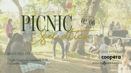 PIC NIC Selvatico