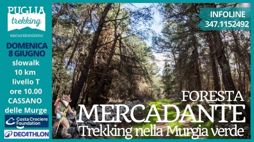 FORESTA MERCADANTE Trekking nella Murgia Verde