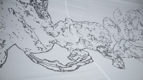 Aurora Lacirignola - Strata
