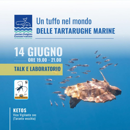 Un tuffo nel mondo delle tartarughe marine ti aspetta!