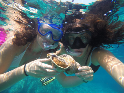 Snorkeling con Serapia