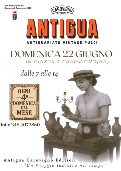 Antigua Antiquariato Vintage Pulci  Un Viaggio nel Tempo a Carovigno