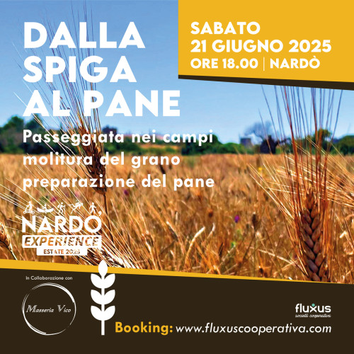 Dalla spiga al pane