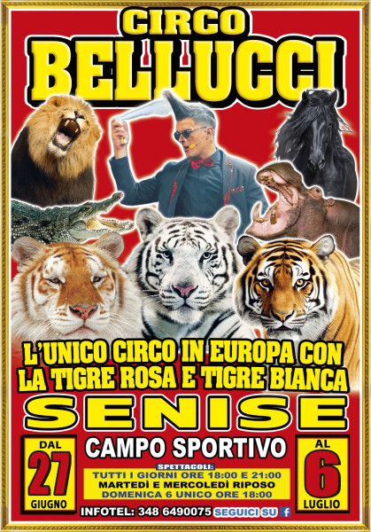 Circo Bellucci continua in Basilicata e fa tappa a Senise