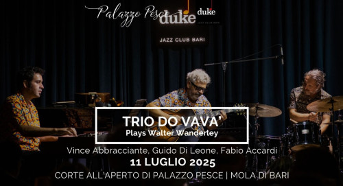 Trio do Vavà [Plays Walter Wanderley]