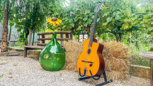 Jazz in Vigna: Musica, Cibo e Vino nei Vigneti dei Campi Flegrei