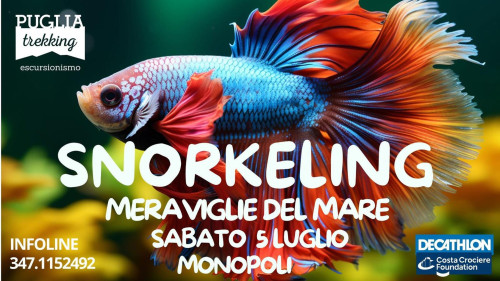 SNORKELING Meraviglie del mare
