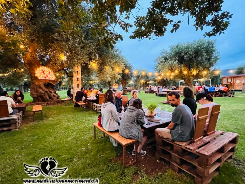 Passeggiata con aperitivo nell'uliveto secolare
