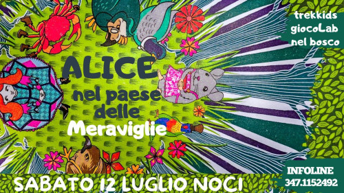 ALICE nel paese delle meraviglie