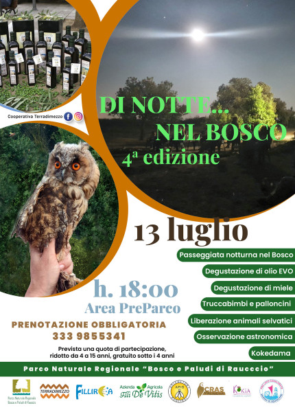 DI NOTTE.NEL BOSCO (4a edizione)