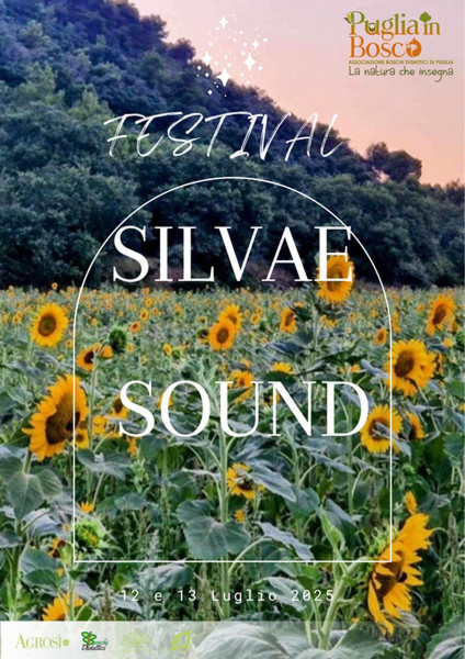 Festival Silvae Sound: musica, natura e degustazioni immersi nel bosco