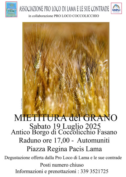 Mietitura del Grano