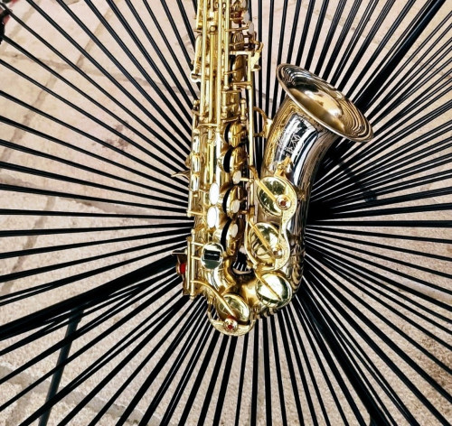 Festival "Note Federiciane" 2025