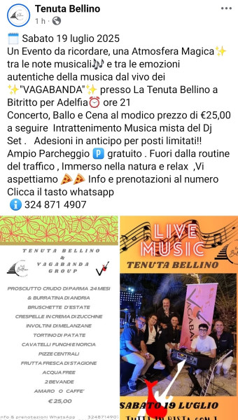 VAGABANDA live music
